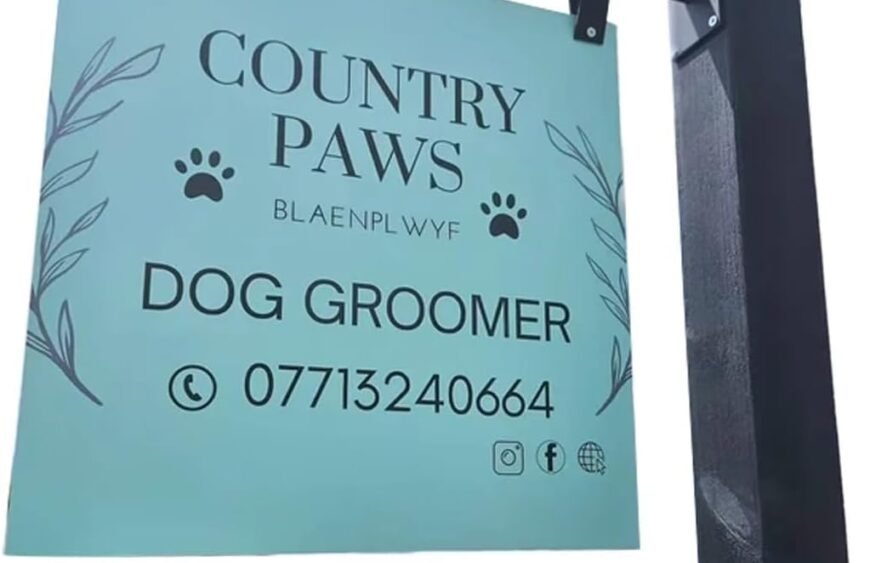 51strRKkwpL._AC_SL1200_