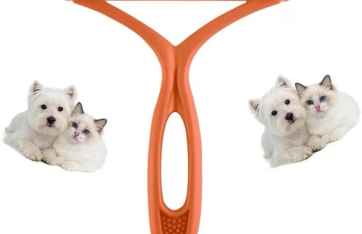 51tk62QXEXL._AC_SL1200_