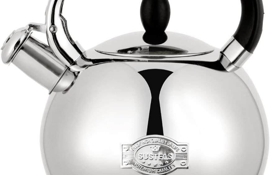 611i67UJtzL._AC_SL1300_