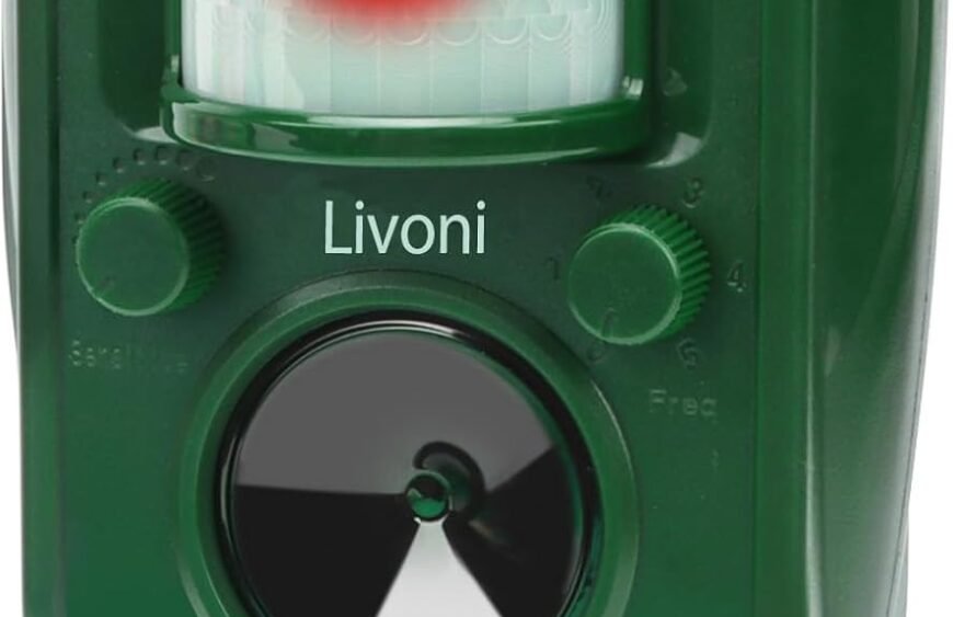 613c6cZsdCL._AC_SL1500_