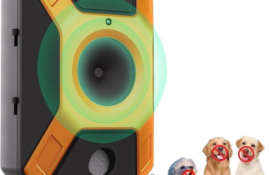 619cQIUXxJL._AC_SL1440_