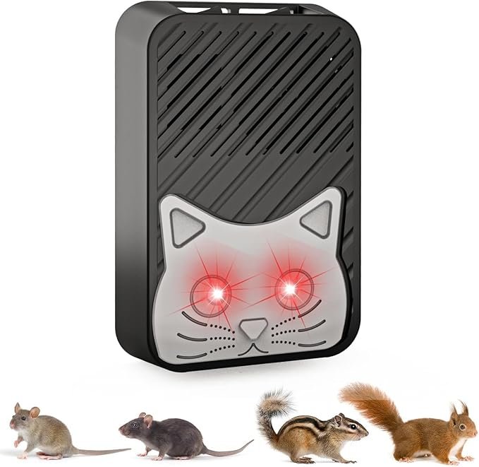 61EDubrnf7L._AC_SX679_