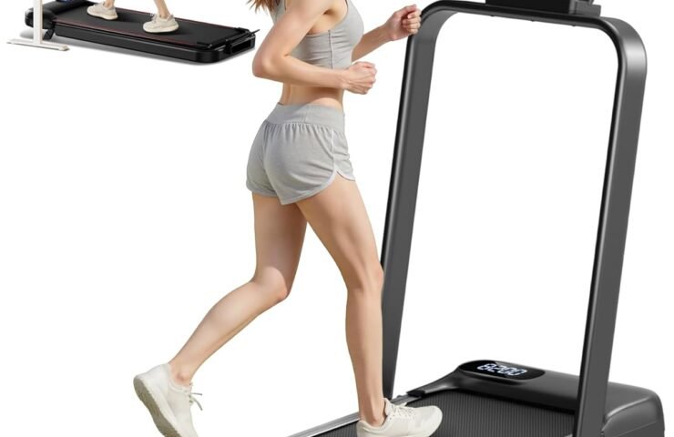 61FxzqbjYxL._AC_SL1500_