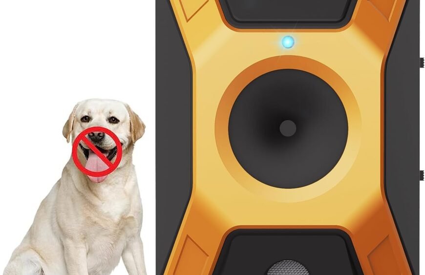 61K8-xwXUbL._AC_SL1500_