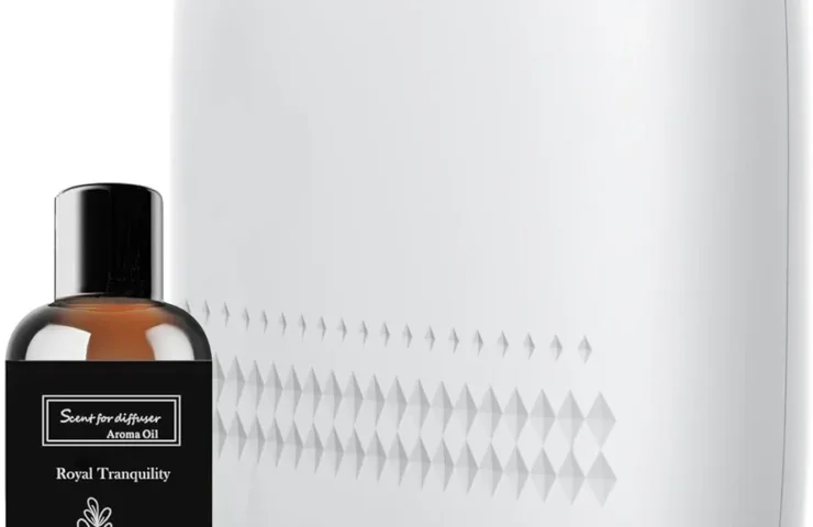 61NNMU5Qn0L._AC_UF894,1000_QL80_FMwebp_