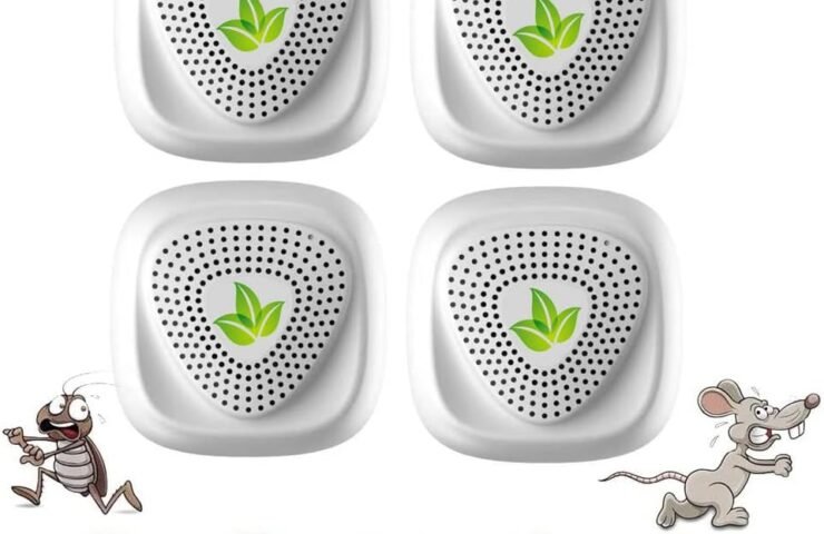 61OAZRKfjIL._AC_SL1000_