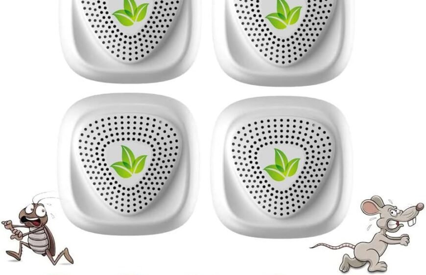 61OAZRKfjIL._AC_SL1000_