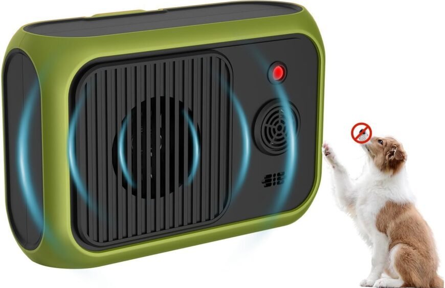 61Op6d9qfuL._AC_SL1500_