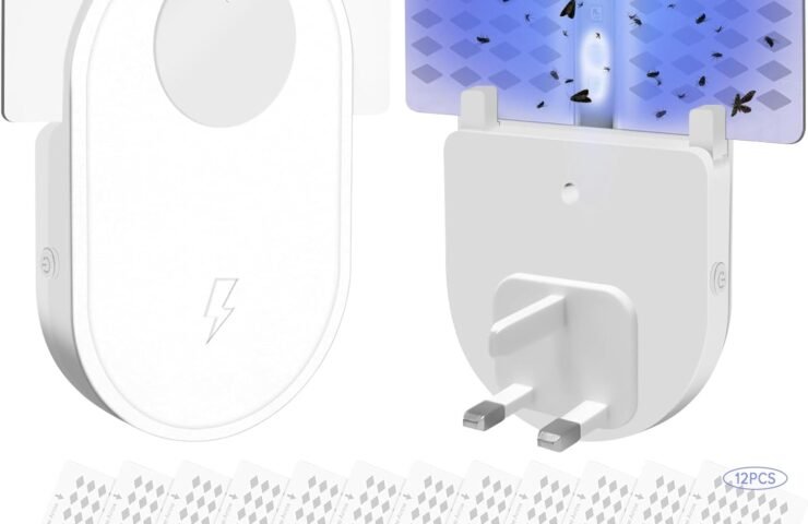 61VgyQ7E3LL._AC_SL1500_