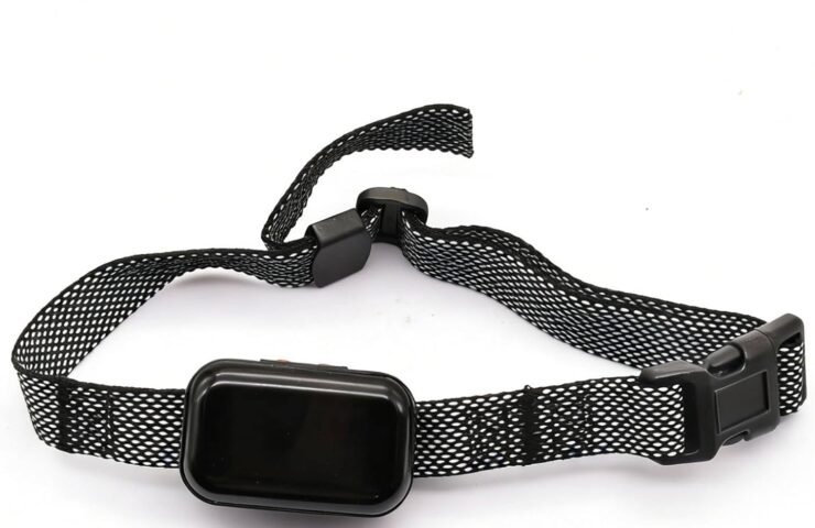 61rXbRol7fL._AC_SL1500_