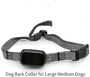 61rXbRol7fL._AC_SY300_SX300_QL70_FMwebp_