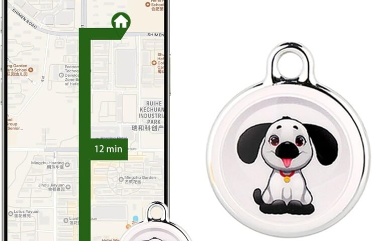 61wMy7PinCL._AC_SL1500_