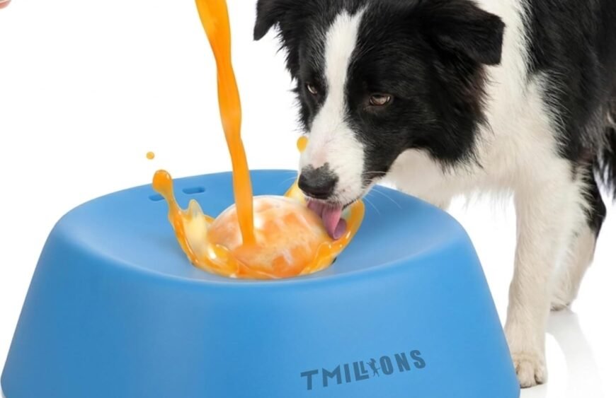 710IIoCS-jL._AC_SL1500_