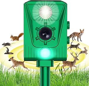 71BlNRdrOIL._AC_SY300_SX300_QL70_ML2_