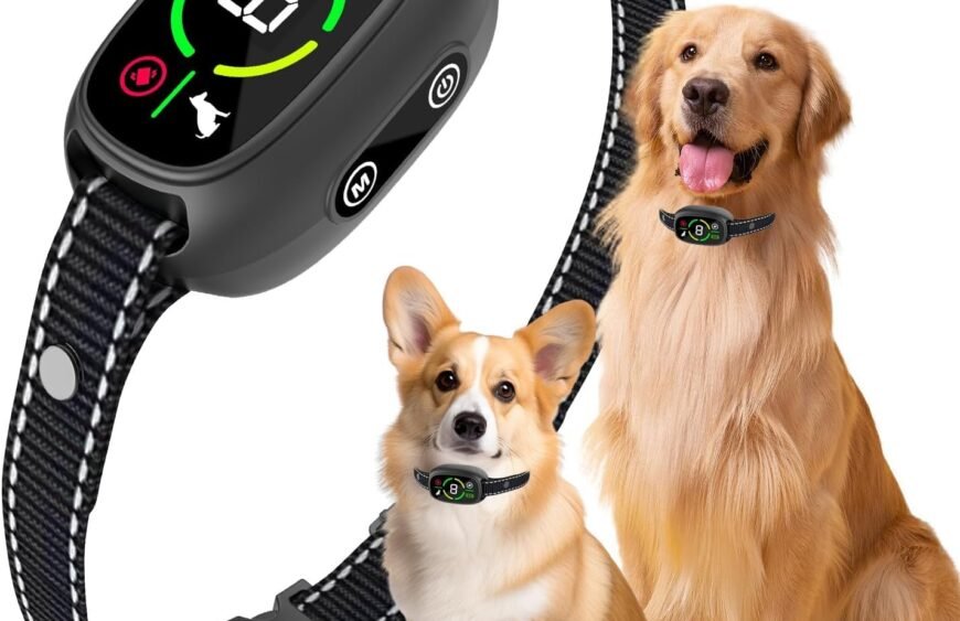 71N4YzWy7bL._AC_SL1500_