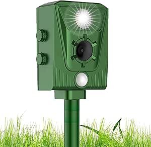 71TMK+5OnYL._AC_SY300_SX300_QL70_ML2_ (1)