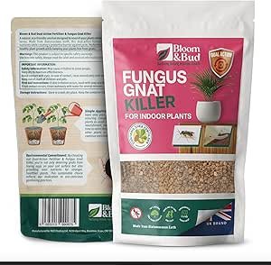 71UxeT5iJCL._AC_SY300_SX300_QL70_ML2_