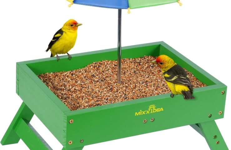 71aQWP4KtuL._AC_SL1500_