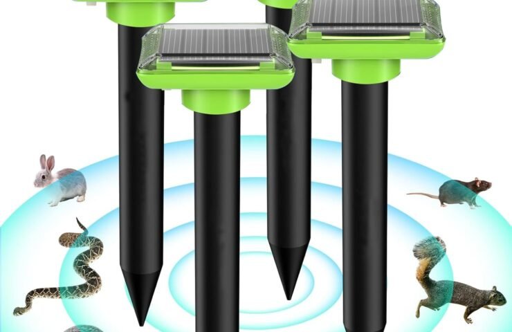 71k0qXeuFOL._AC_SL1500_