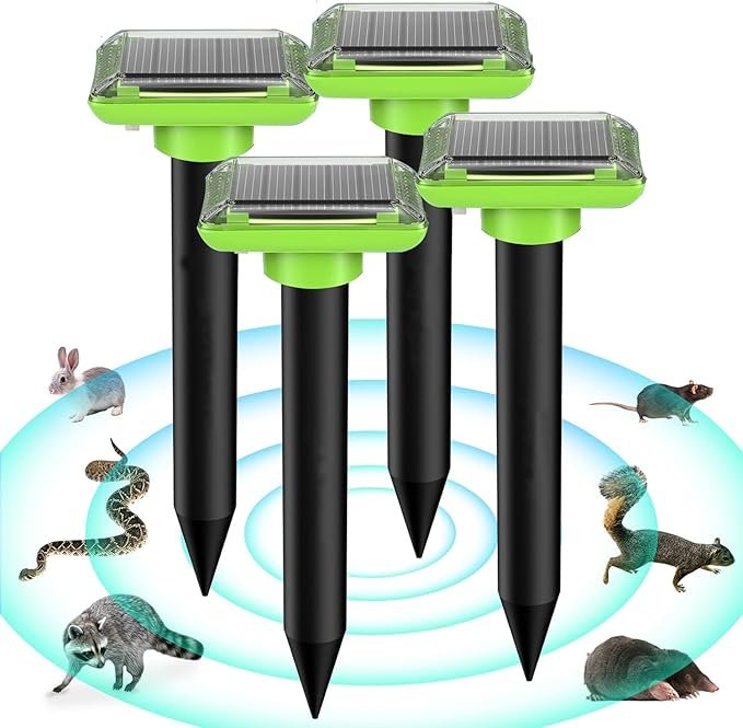 71k0qXeuFOL._AC_SX679_