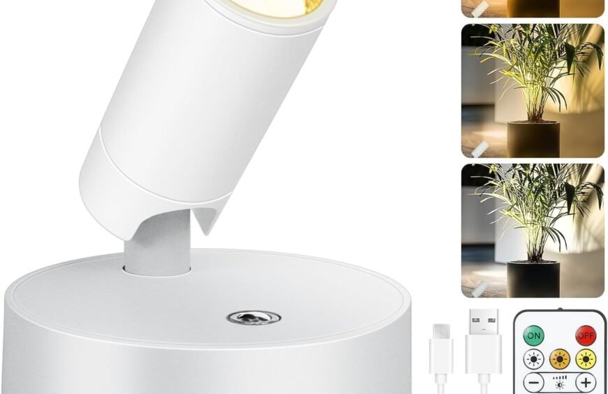 71lrWHK2sQL._AC_SL1500_