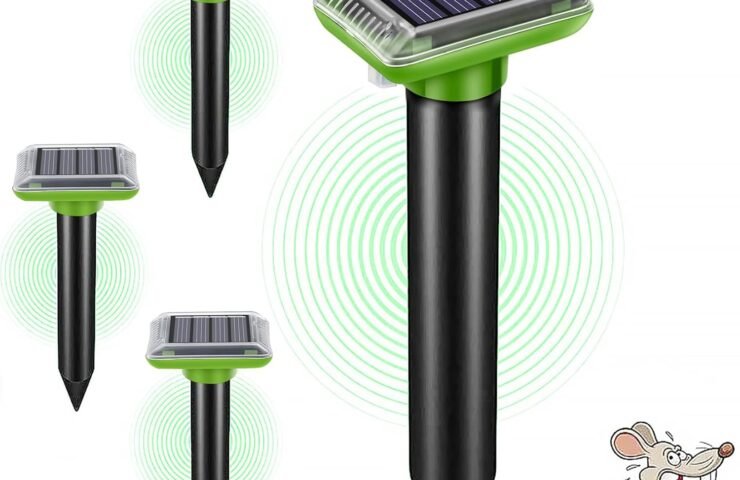 71pBggYdMnL._AC_SL1500_