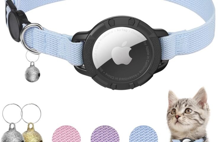 71rE1czaX6L._AC_SL1500_