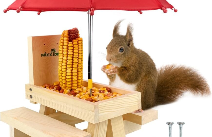 71rIko6ZAfL._AC_SL1500_