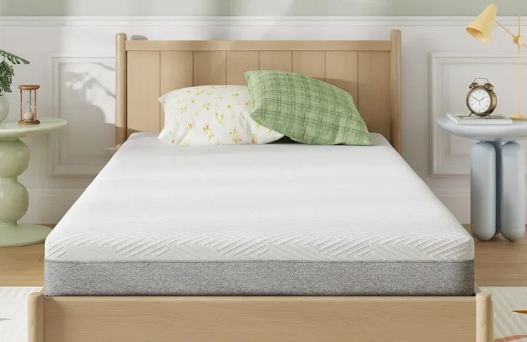 71tU-8I+8IL._AC_UF894,1000_QL80_FMwebp_