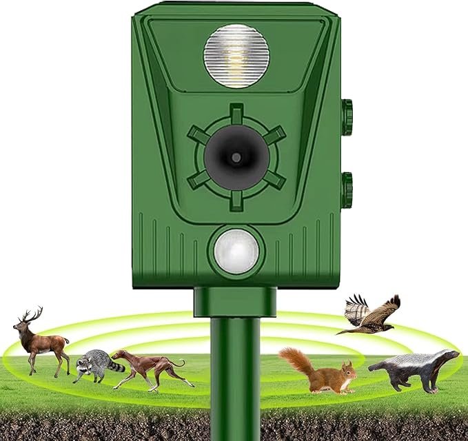 71yripYUNEL._AC_SX679_