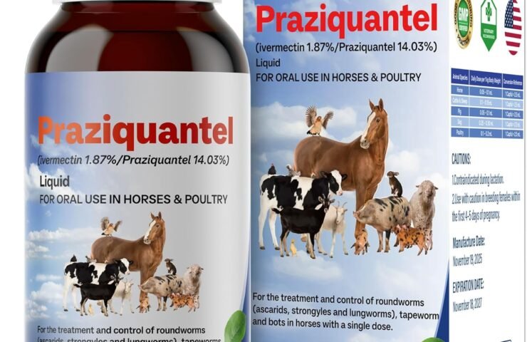 813ULHcpLYL._AC_SL1500_