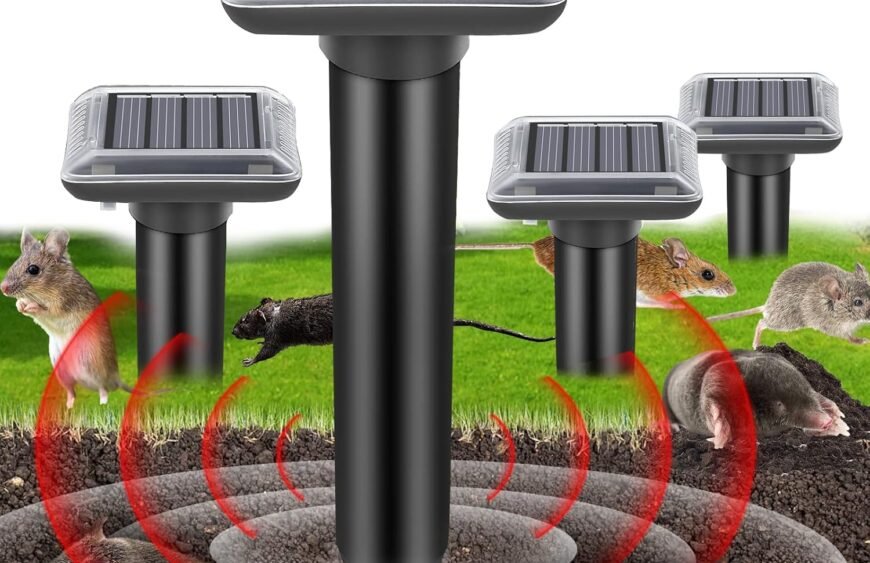 81CWjrNqSmL._AC_SL1500_