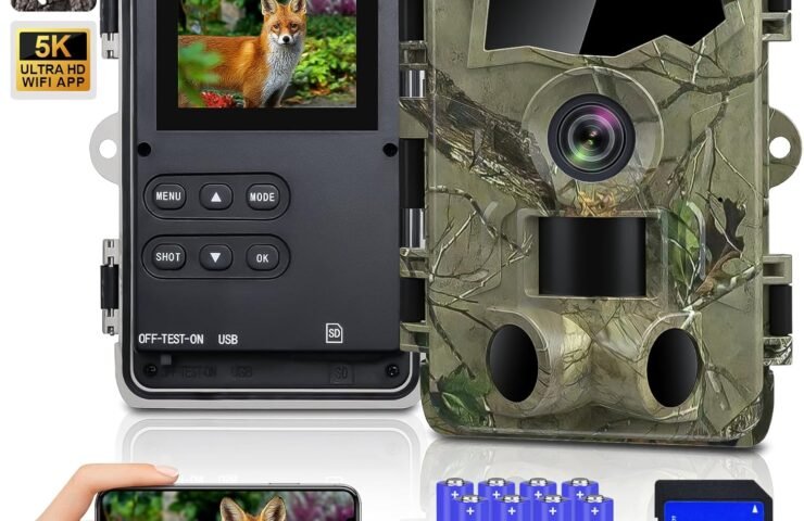 81DBgvc5tqL._AC_SL1500_