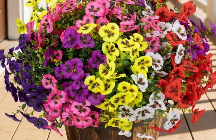 81PgWjipEDL._AC_SL1500_