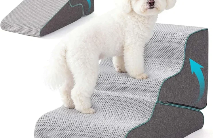 81TMKnKY2CL._AC_UF894,1000_QL80_FMwebp_