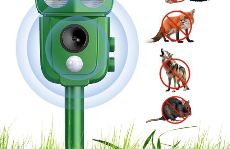 81oLEbwW+jL._AC_SL1500_