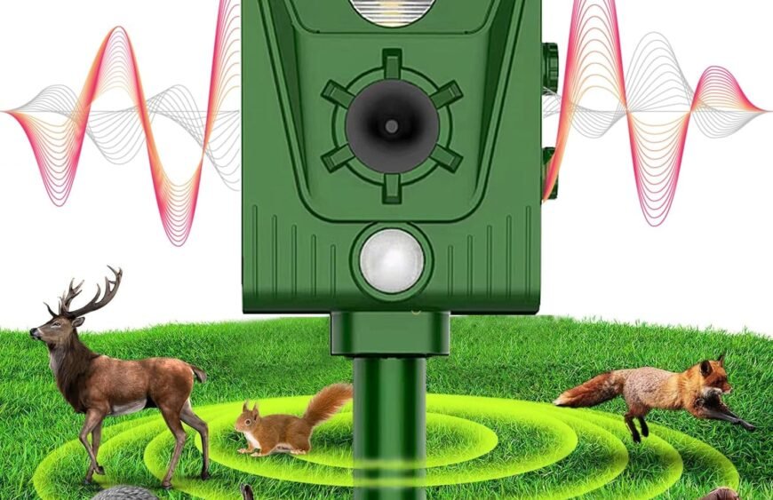 81tsvVQoI0L._AC_SL1500_